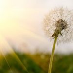 Elengedés -lelki szabadság